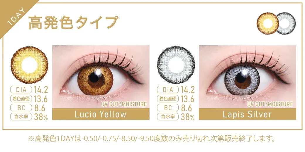 TeAmo Color 1 Day