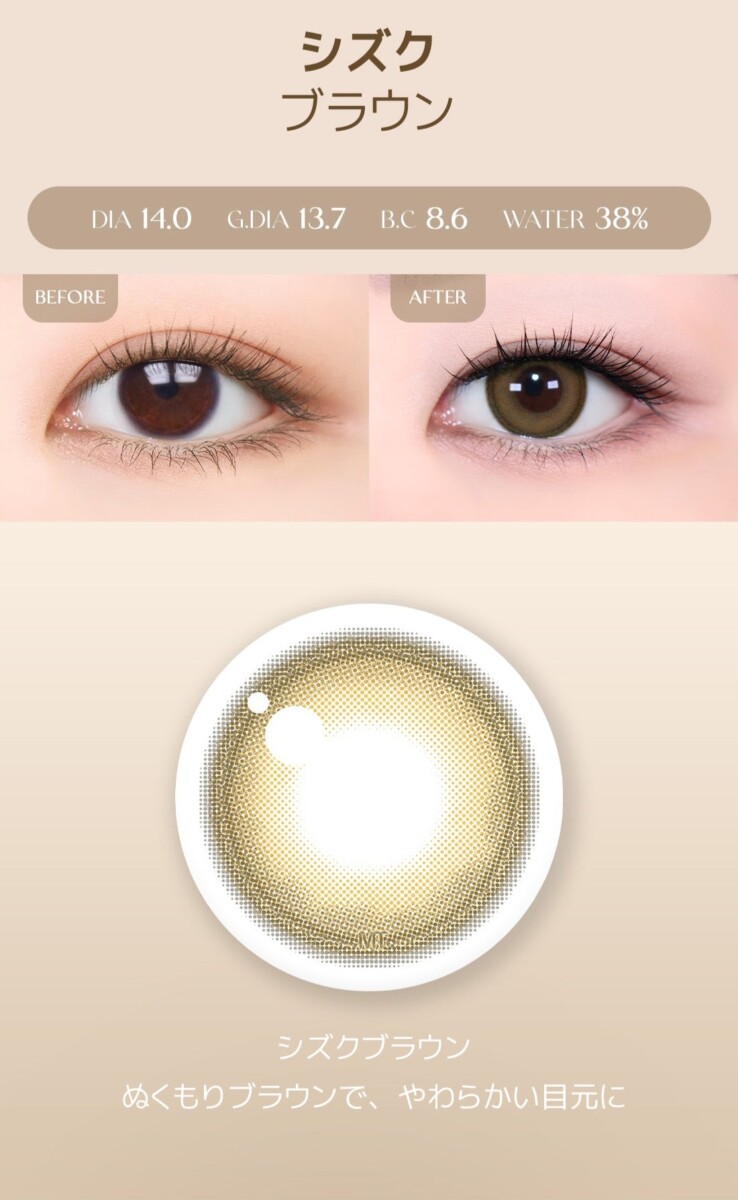 Lensme Torica Popular 訂製款 Lensme Torica Popular 訂製款