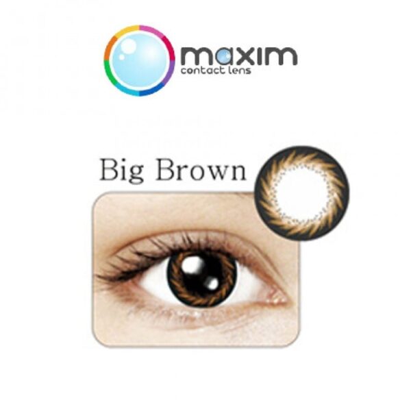 Maxim Monthly - Big Brown (限量)
