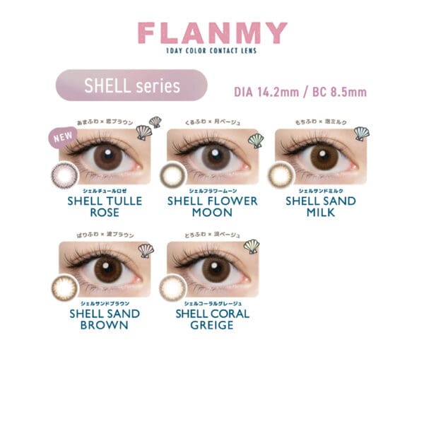 Flanmy 1 Day_cover2