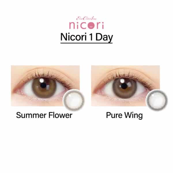 Nicori 1 Day_cover2