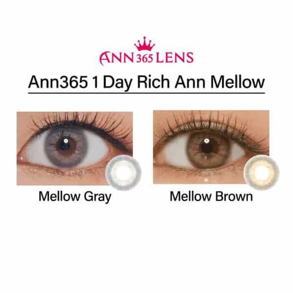 Ann365 1 Day Rich Ann Mellow_cover