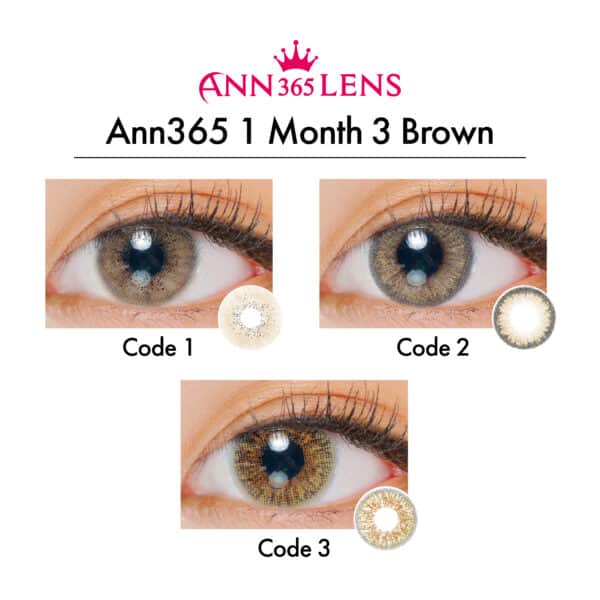 Ann365 1 Month 3 Brown_cover