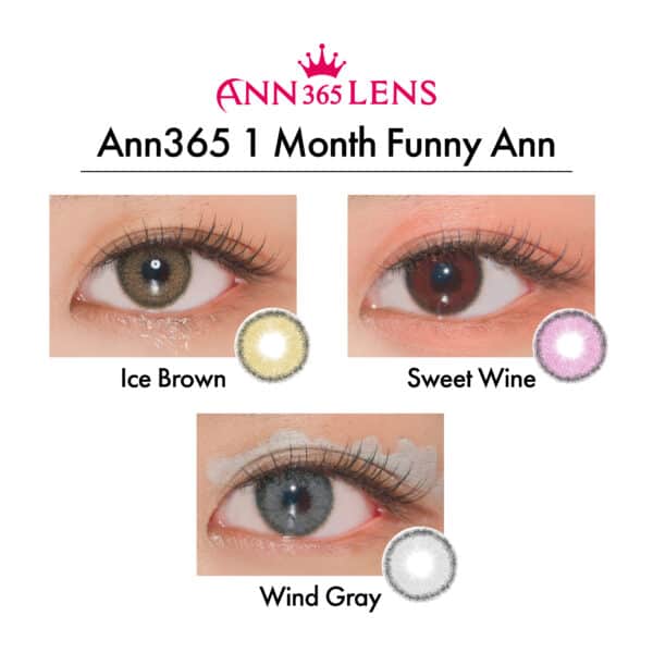 Ann365 1 Month Funny Ann_cover