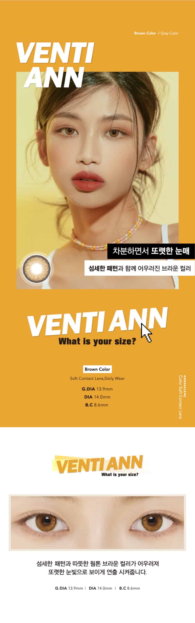 Ann365 1 Month Venti Ann_info2