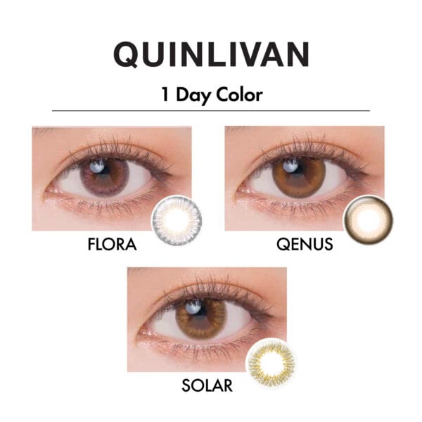 QUINLIVAN 1 Day Color_cover