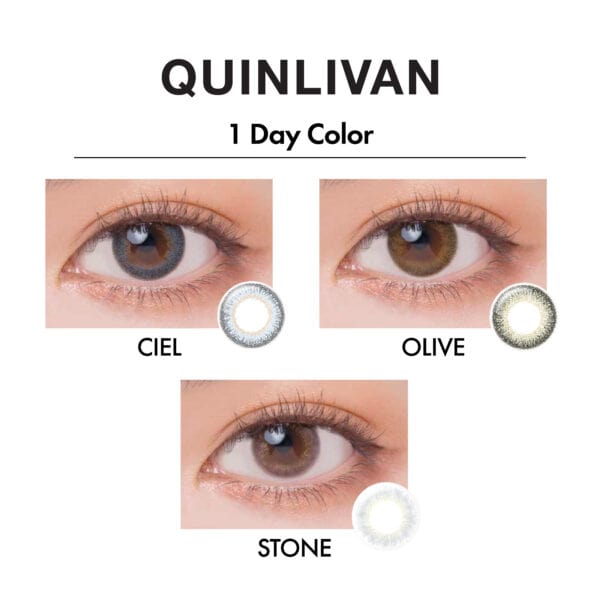 QUINLIVAN 1 Day Color