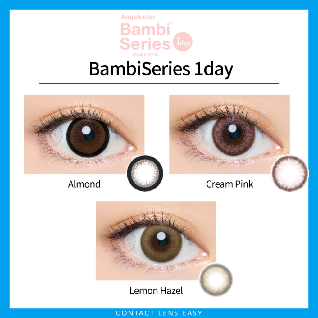AngelColor Bambi Series 1 Day | Contact Lens Easy