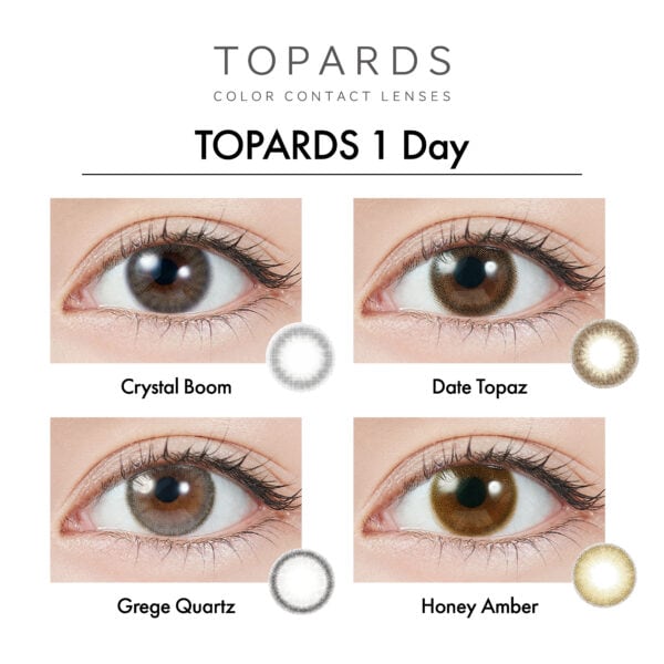 TOPARDS_1_Day_上眼圖-01