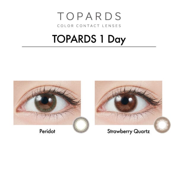 TOPARDS_1_Day_上眼圖-01