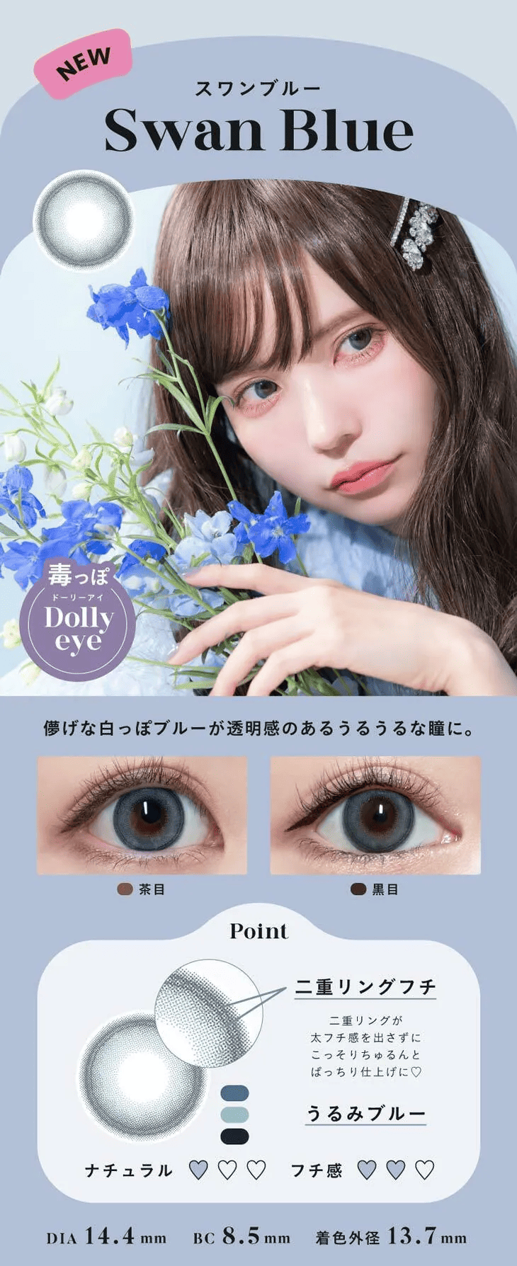 Angelcolor_Bambi_Series_swan blue