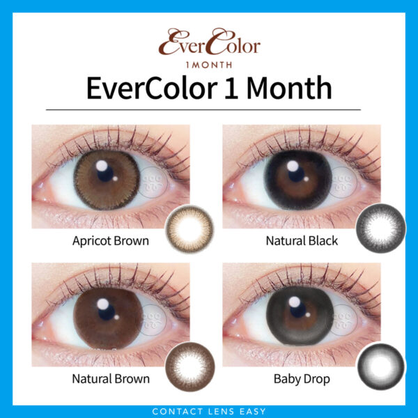EverColor Monthly Color - Image 2