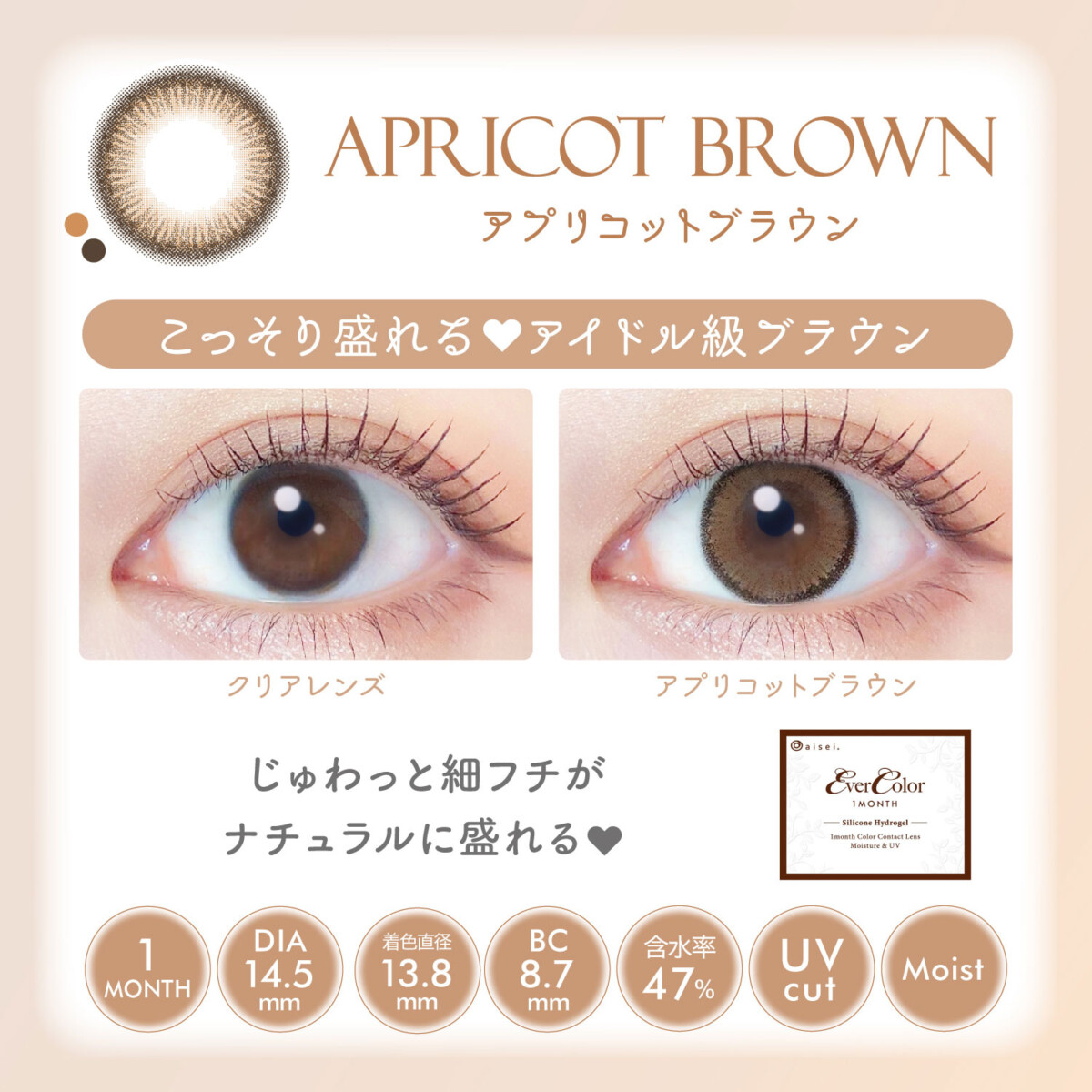EverColor Monthly Color_info