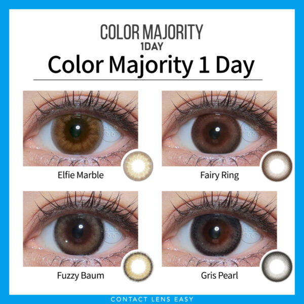 Color Majority 1Day - Image 3