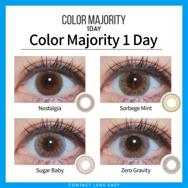 Color Majority 1Day - Image 5