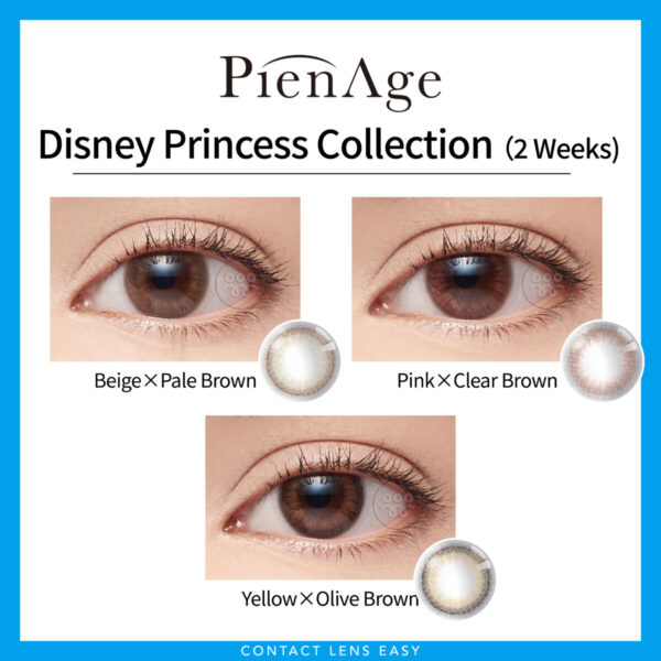 Disney Princess Collection by PienAge (2 weeks)_Cover