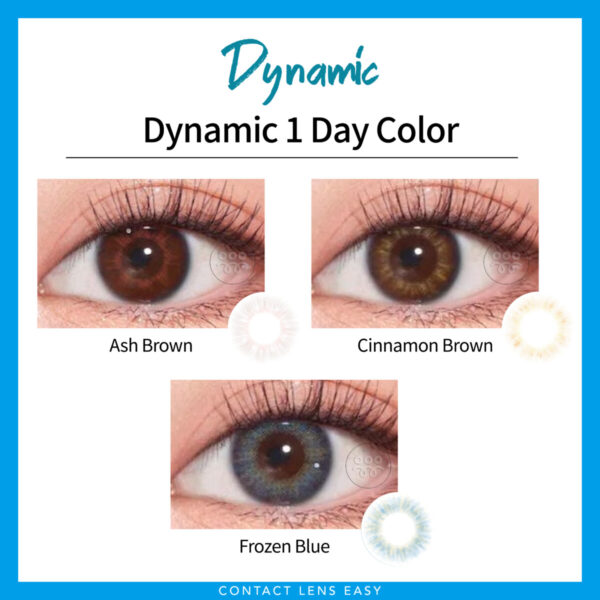 Dynamic 1 Day Color：圖片 2