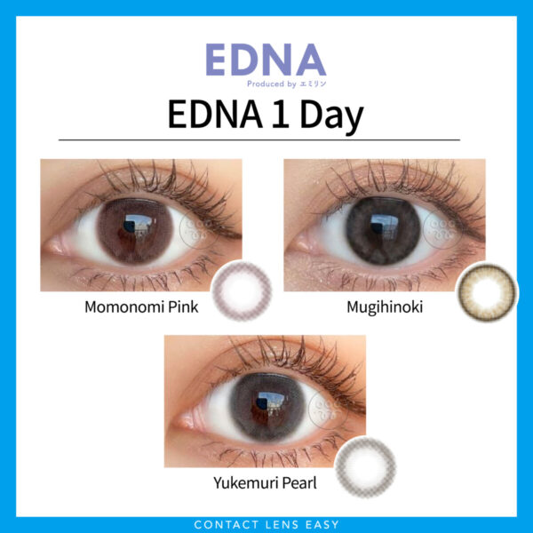 EDNA 1 Day_cover