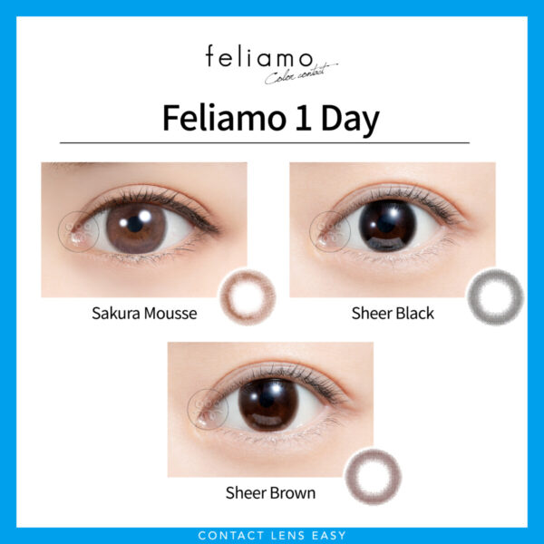 PIA Feliamo 1 Day_cover