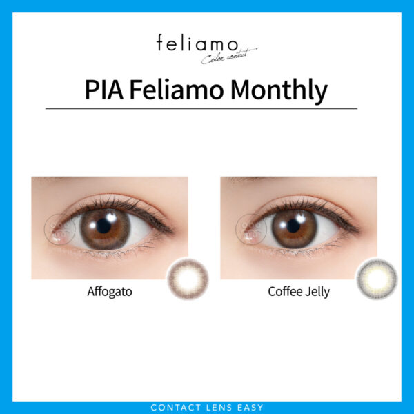 Feliamo Monthly_COVER