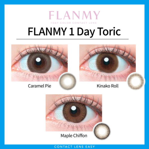 Flanmy 1 Day Toric：圖片 2