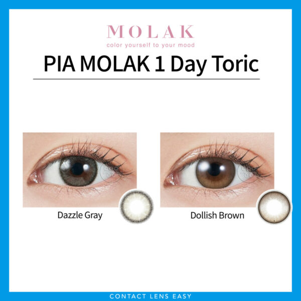 Molak TORIC 1Day - Image 2