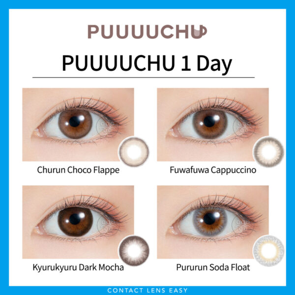 PUUUUCHU 1 day_Cover
