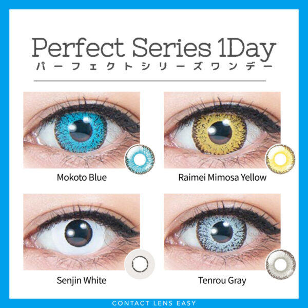 Perfect Series 1 Day_Cover