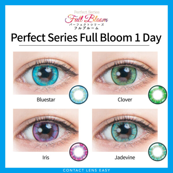 Perfect Series Full Bloom 1 Day_Cover