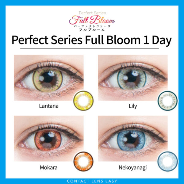 Perfect Series Full Bloom 1 Day_Cover