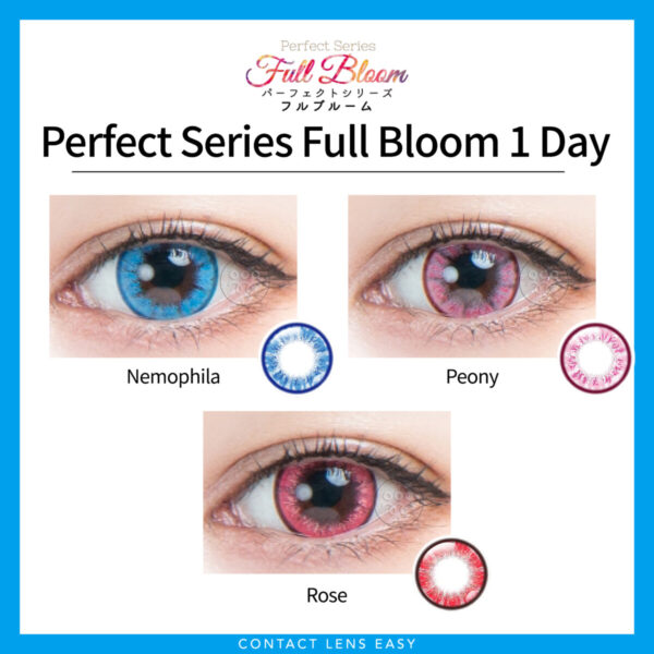 Perfect Series Full Bloom 1 Day_Cover