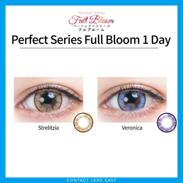 Perfect Series Full Bloom 1 Day_Cover