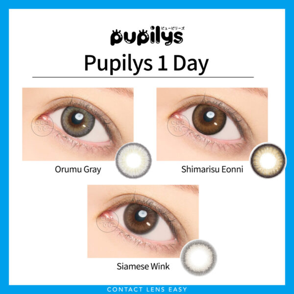 Pupilys 1Day - Image 2