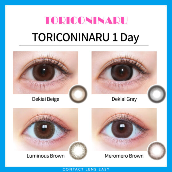 TORICONINARU 1 day_Cover