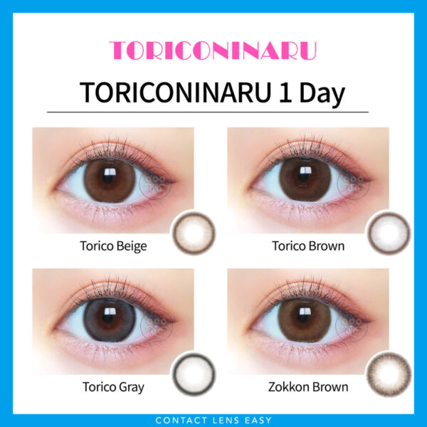 TORICONINARU 1 day_Cover