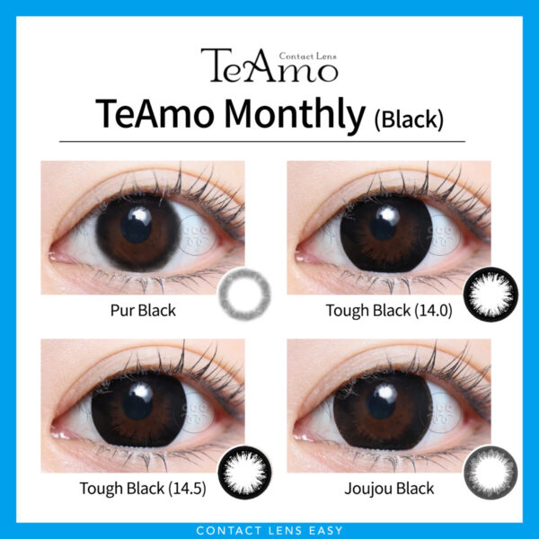 TeAmo Monthly-Cover