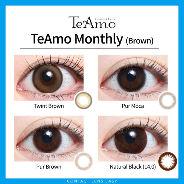 TeAmo Monthly-Cover