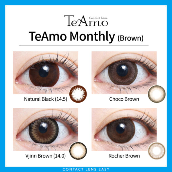 TeAmo Monthly-Cover