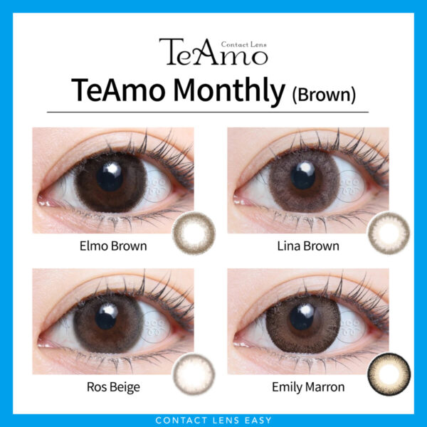 TeAmo Monthly-Cover