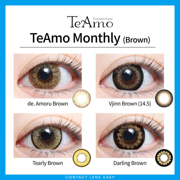 TeAmo Monthly-Cover
