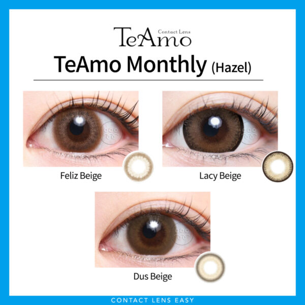 TeAmo Monthly-Cover