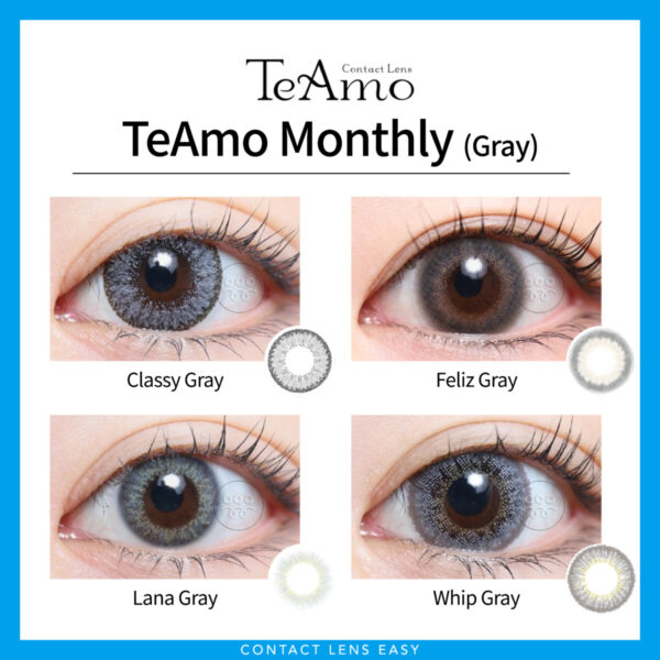 TeAmo Monthly-Cover