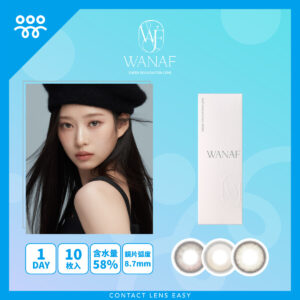 WANAF 1 Day-Cover