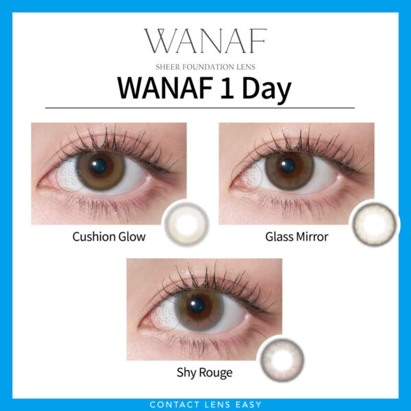 WANAF 1 Day-Cover