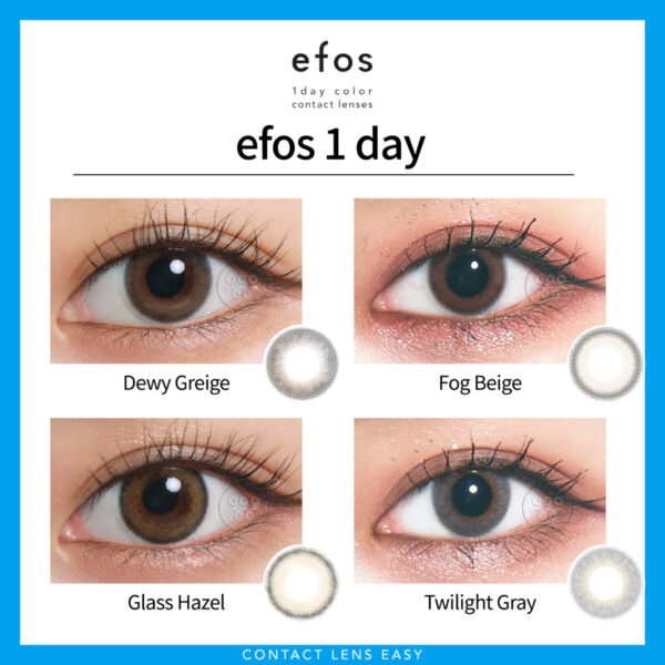efos 1 day_Cover