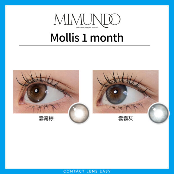 Mimundo Mollis 1Month - Image 2