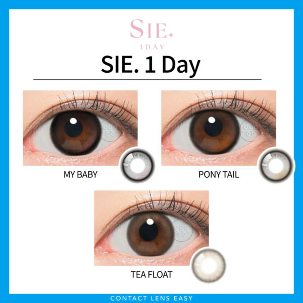 SIE 1Day：圖片 3