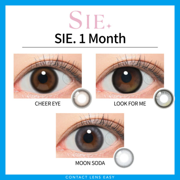 SIE 1Month：圖片 2