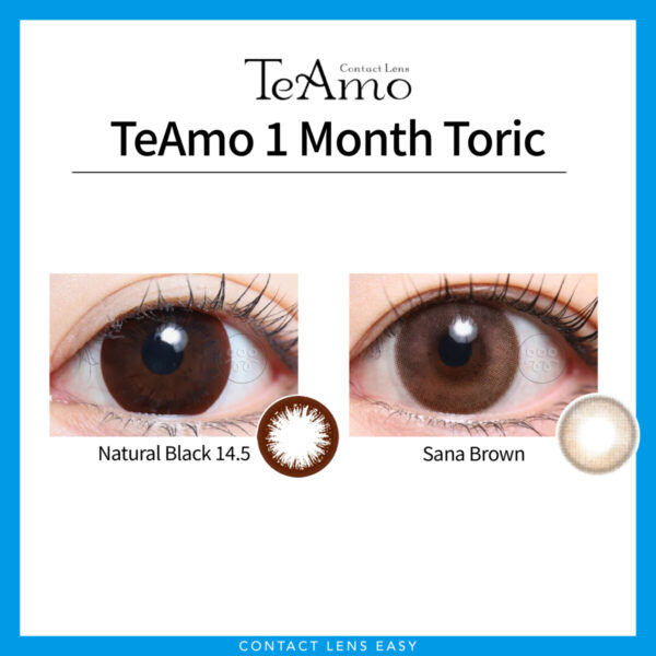 TeAmo 1Month Toric：圖片 2